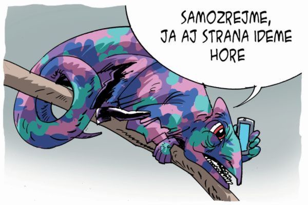 Karikatúra 26.06.2014
