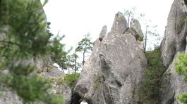 V Bratislave zomrel 20-ročný muž, spadol zo skaly