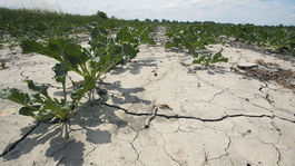 Štát chce chrániť vodu a bojovať proti suchu, pripravil akčný plán