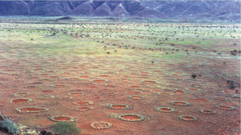 Namíbia, namíbijská púšť kruhy, vílie kruhy