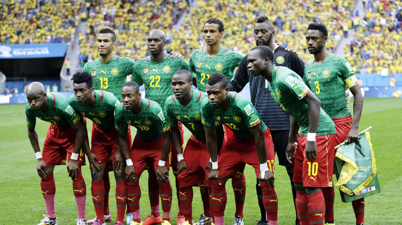 Kamerun, MS 2014, futbal