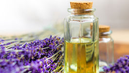 Stres aj zlý spánok? Pomôže voňavá levanduľa