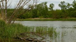 Sú obavy o privatizáciu vody reálne? 