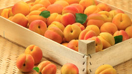 Paprika spod Tatier, mandle z juhu Slovenska