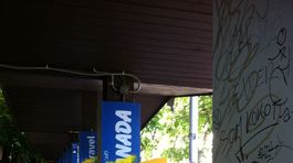 Stĺpy na Predstaničnom námestí