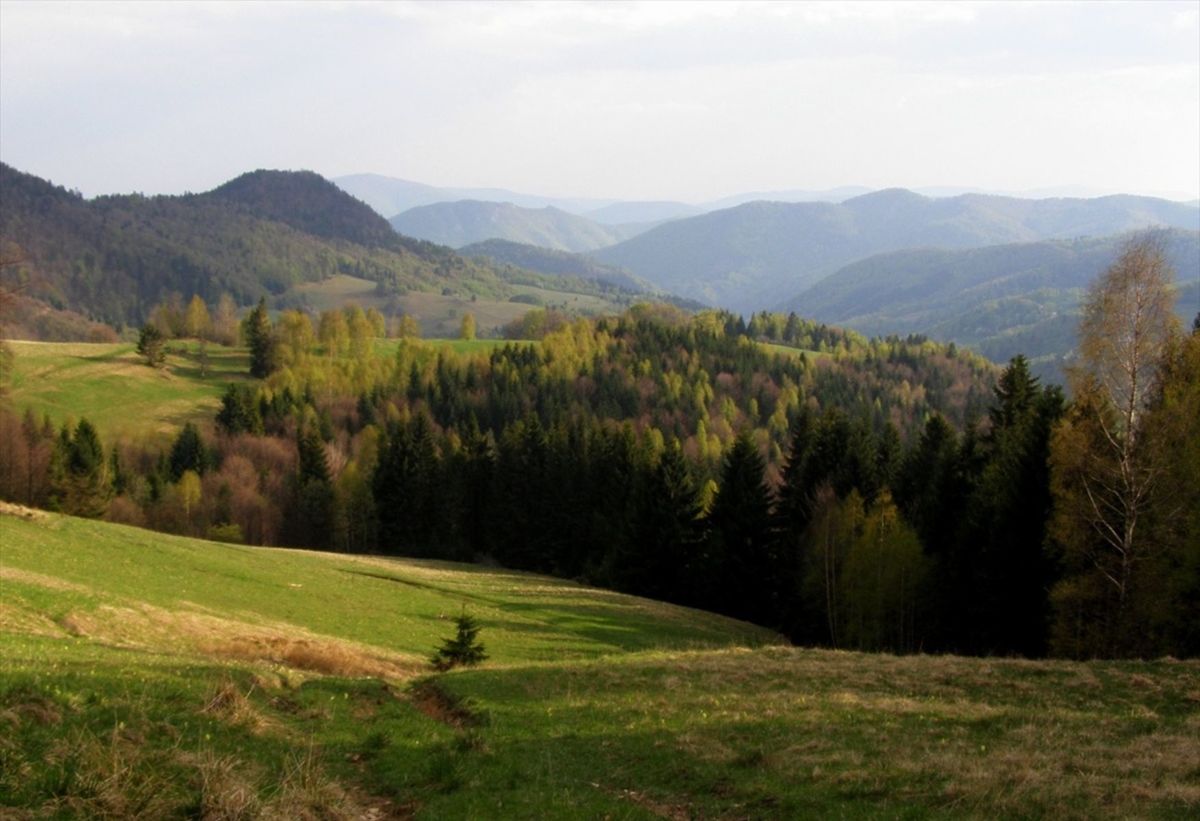 Muránska planina