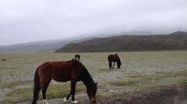 Cotopaxi