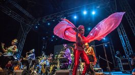 Sun Ra Arkestra, Pohoda 2014