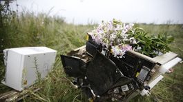 vrak, Malajzijské lietadlo, havária, Ukrajina, rodiny, smútok, zostrelené