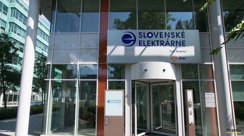 slovenske elektrarne, policia, kontrola