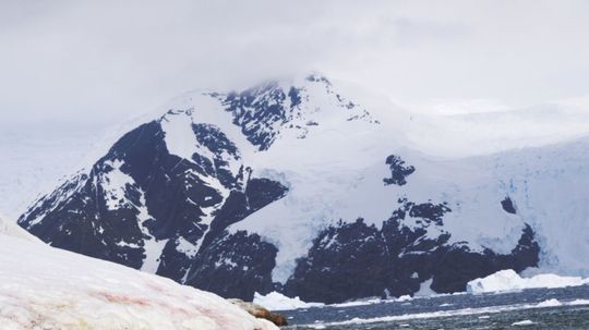 Najpočetnejší obyvatelia Antarktídy. 