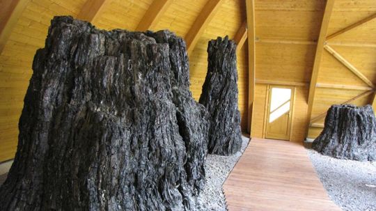4. Najväčšie múzeum skamenelín v strednej...