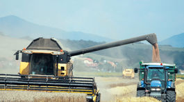 Slovensko exportuje obilie, ale zväčša lacno