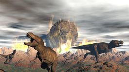 V Austrálii našli čeľuste nového druhu dinosaura