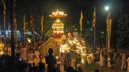 Srílanské mesto Kandy zaplavili svetielkujúce slony