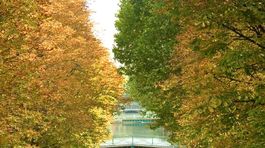 V Seine vraj žijú úplné monštrá