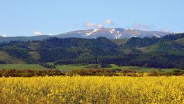Na Kráľovej holi... Neustály vietor a prekrásne výhľady