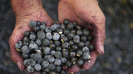 Superfood nie je super. Nahraďte ho sezónnym ovocím 