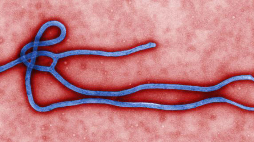 ebola, vírus,