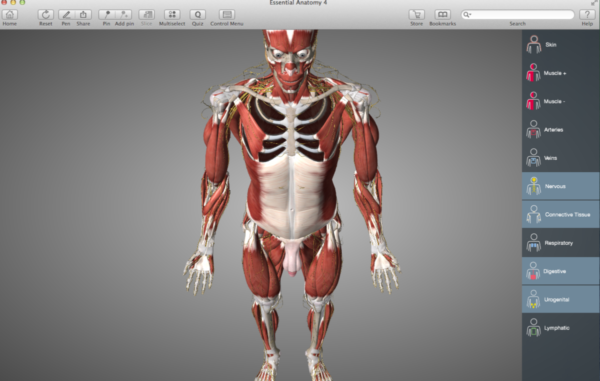 essential anatomy mac