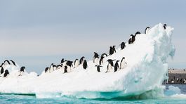 Svetové ľadovce vypovedajú o dávnych zmenách klímy