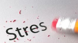 Stres k životu potrebujeme. Ak je ho však veľa, ohrozuje naše zdravie