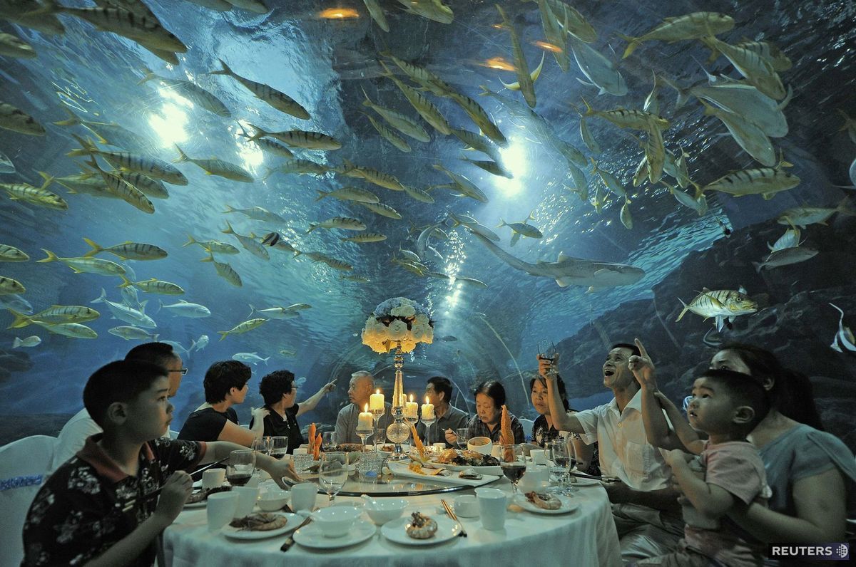 Čína, večera, akvárium, ryby