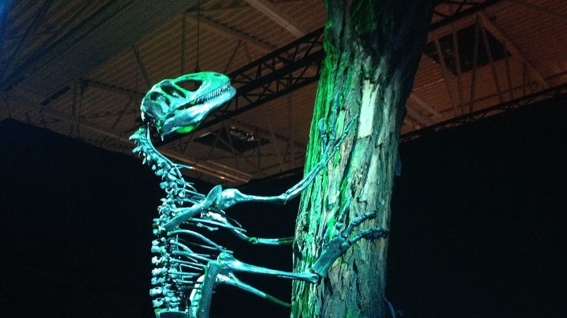 Z osemdesiatich percent ide o originály....