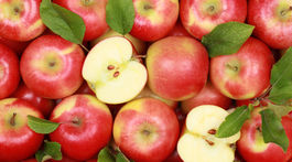 Ovocinári z Plantexu si chránili úrodu pálením tisícok sviec