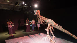 Dinosaurium, Incheba, výstava, dinosauri, dinosaurus