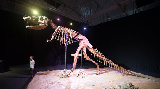 Výstava Dinosaurium navštívila v roku 2013...