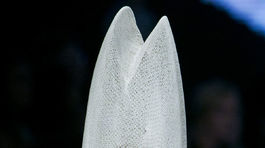 NY Fashion Week Donna Karan - bizarnosti