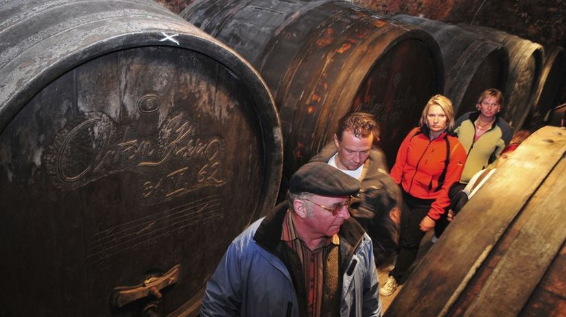 vinica v mestečku Wachau