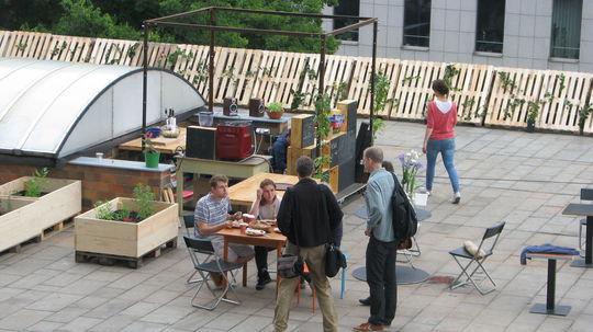 Komunitné záhrady sa stávajú obľúbeným miestom...