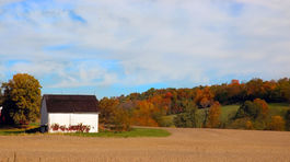 Farma, Ohio, jeseň