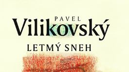 Pavel Vilikovský: Letmý sneh