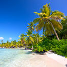Karibik, Dominikánska republika, more, palmy, pláž