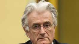 Karadžič sa odvolal proti 40-ročnému väzeniu