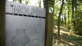 Seriál o vrchoch: Divočinu na Molpíre nad Smolenicami spásajú kozy