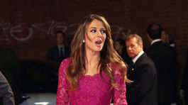 Liz Hurley