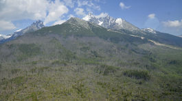 Od vetrovej kalamity prešlo 16 rokov, smršť zmenila tvár tatranských lesov