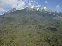 VYSOKÉ TATRY: Následky kalamity