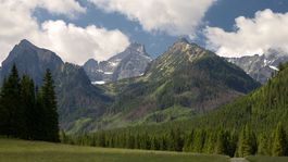 Štátne lesy TANAPu majú nového šéfa, lesného inžiniera Petríka