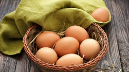 Slovenské hydinové farmy pesticíd fipronil nepoužívajú