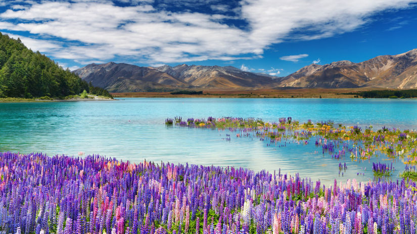 Jazero Tekapo Na Novom Z lande Men Farby Pod a Ro n ho Obdobia 