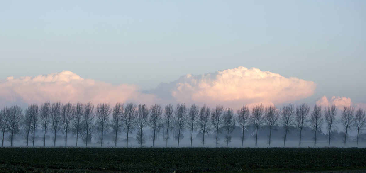 jeseň, Belgicko, hmla, stromy, oblaky