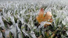 Na strednom a východnom Slovensku sa môže v noci vyskytnúť prízemný mráz 
