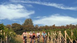 Nový cykloportál vás prevedie z Trnavského kraja do Čiech