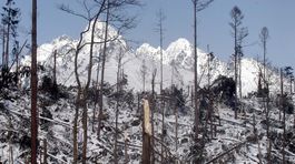 Tatry opäť brali životy, zahynuli štyria ľudia