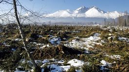 Silný vietor vyvrátil na území TANAP-u 1 500 stromov, najviac škôd je na Orave